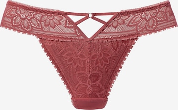 LASCANA String in Brown: front