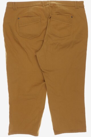 SHEEGO Pants in 6XL in Brown