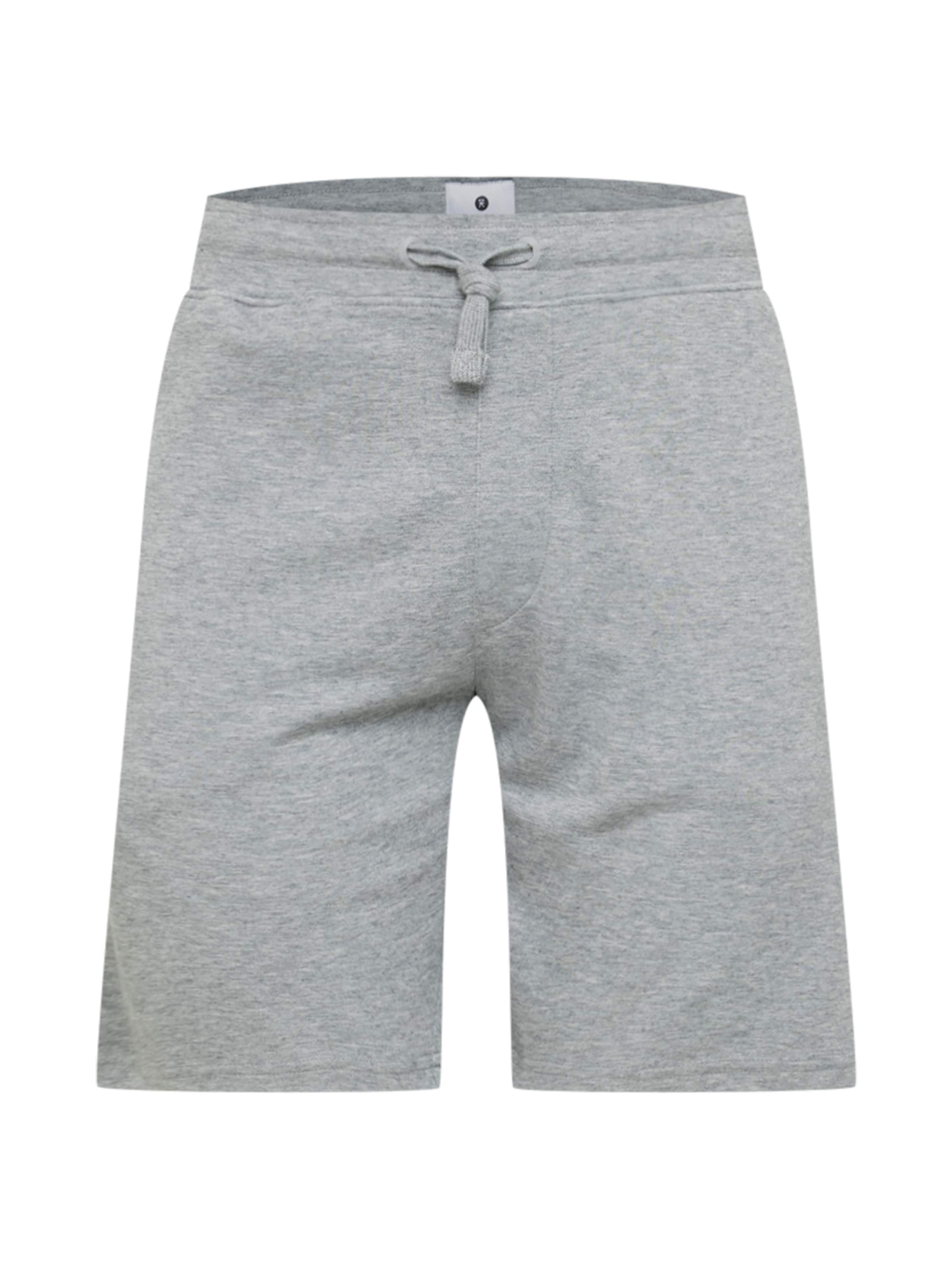 JBS OF DENMARK - regular Pantalón en gris: frente