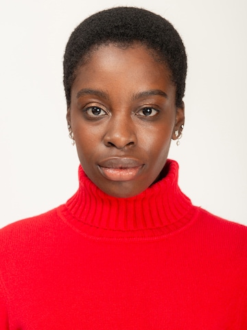 Influencer Pullover in Rot