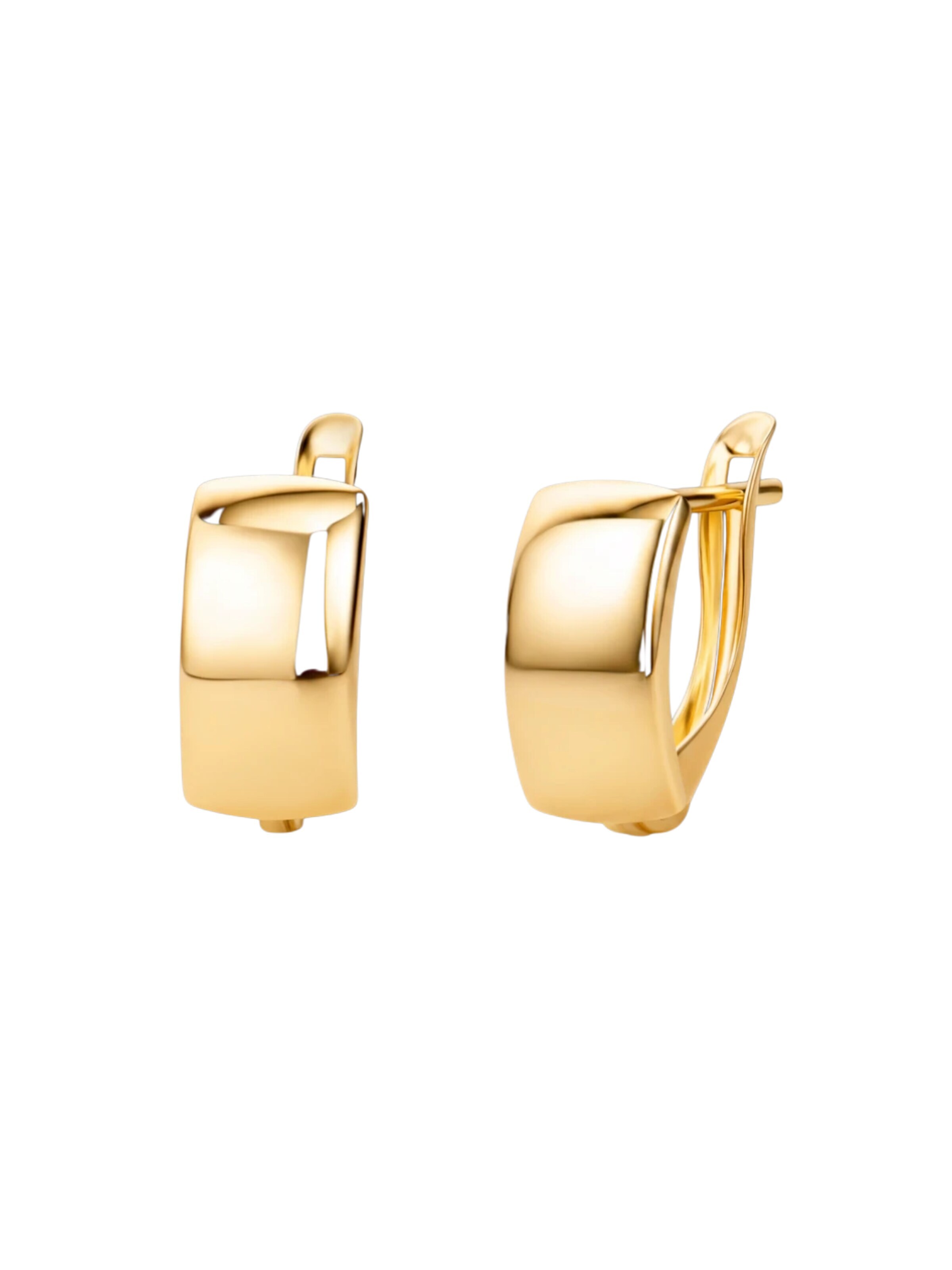 DIAMANT LETERNEL Earrings 'Ohrringe aus 585 Gelbgold' in Gold: front