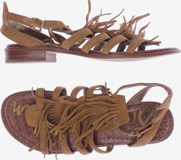 Sam Edelman Sandals & High-Heeled Sandals in 39 in Brown: front