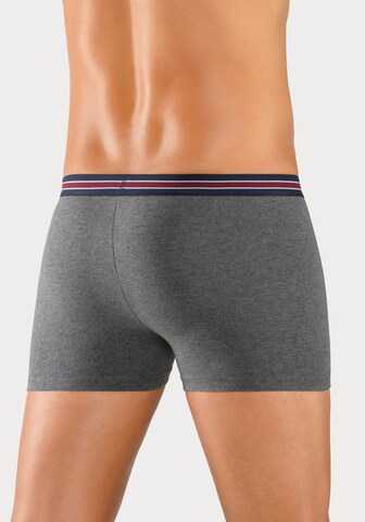 BENCH Boxer shorts in Mixed colors