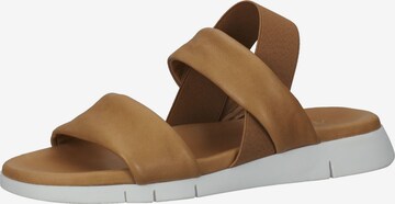 SANSIBAR Sandals in Brown: front