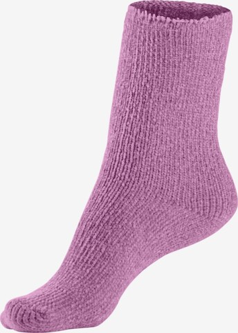 LAVANA Socks in Purple