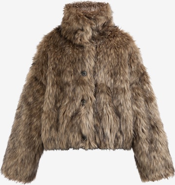 DreiMaster Klassik Zimska jakna | rjava barva: sprednja stran