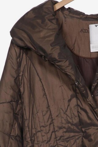 Adagio Jacket & Coat in XXXL in Brown