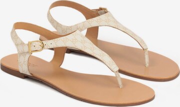 Kazar T-Bar Sandals in White