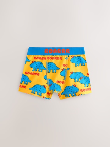 Chiloţi de la Next pe albastru