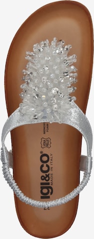 IGI&CO T-Bar Sandals in Silver