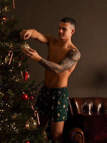 Happy Shorts Boxer shorts 'Christmas' in Blue