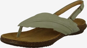 EL NATURALISTA T-Bar Sandals in Grey: front