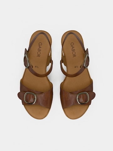 GABOR Sandalen met riem in Bruin