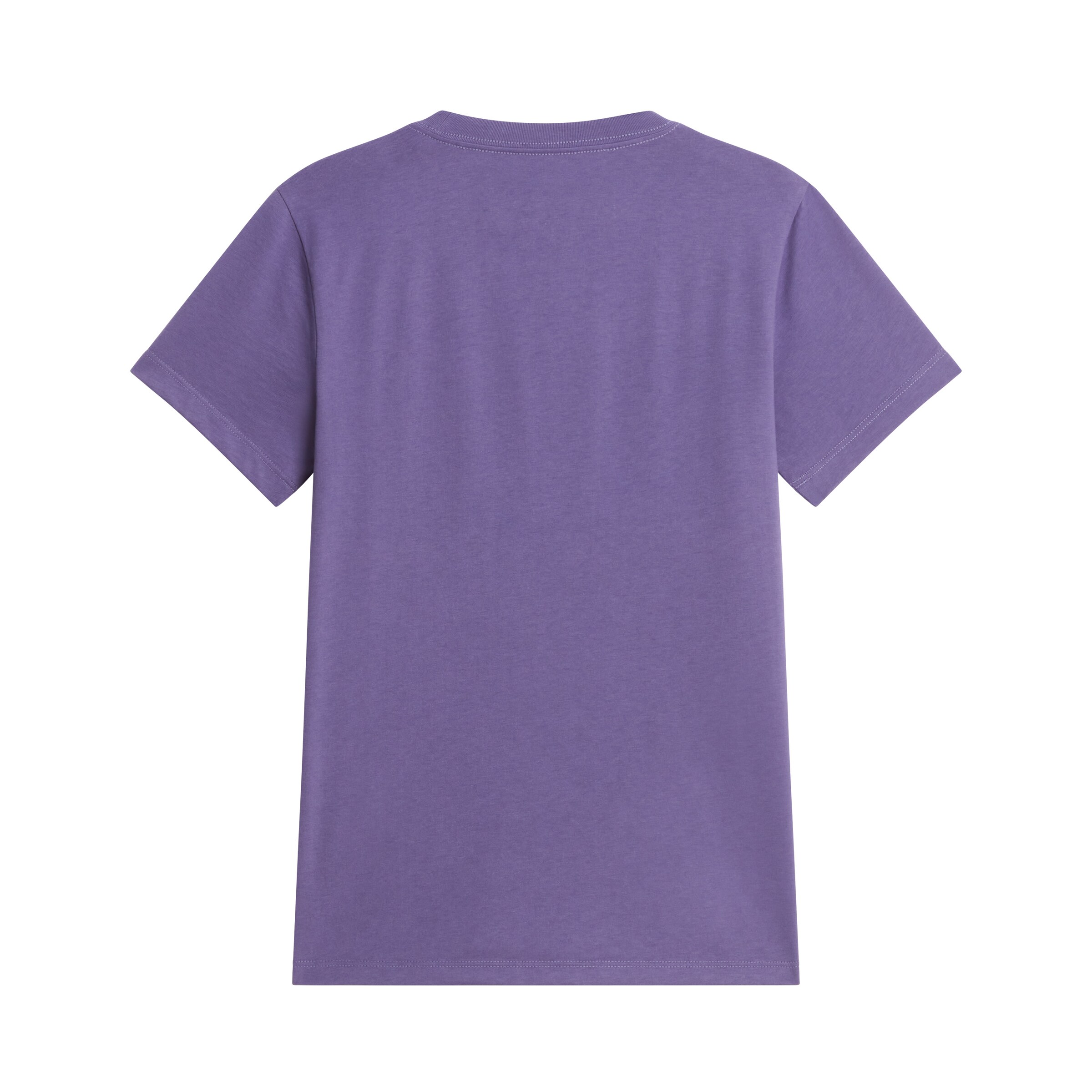 THE NORTH FACE Póló 'Evolution Simple Dome' - lila