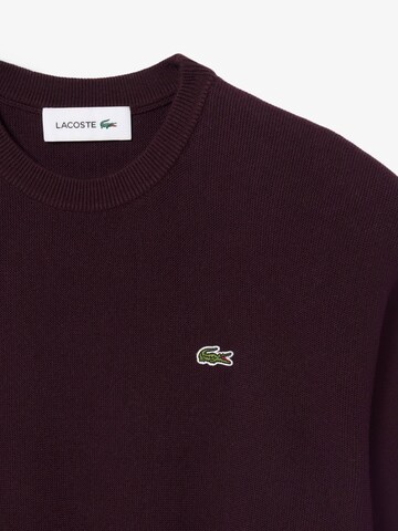 LACOSTE Sweatshirt in Brown