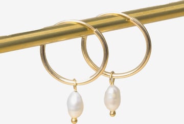 fejn Oorbellen 'Pearl Hoop' in Goud: voorkant