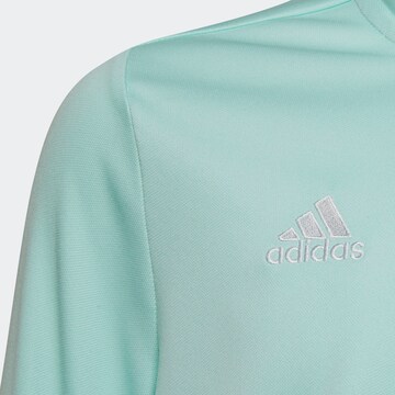 ADIDAS PERFORMANCE Sportsweatshirt 'Entrada 22' in Blau