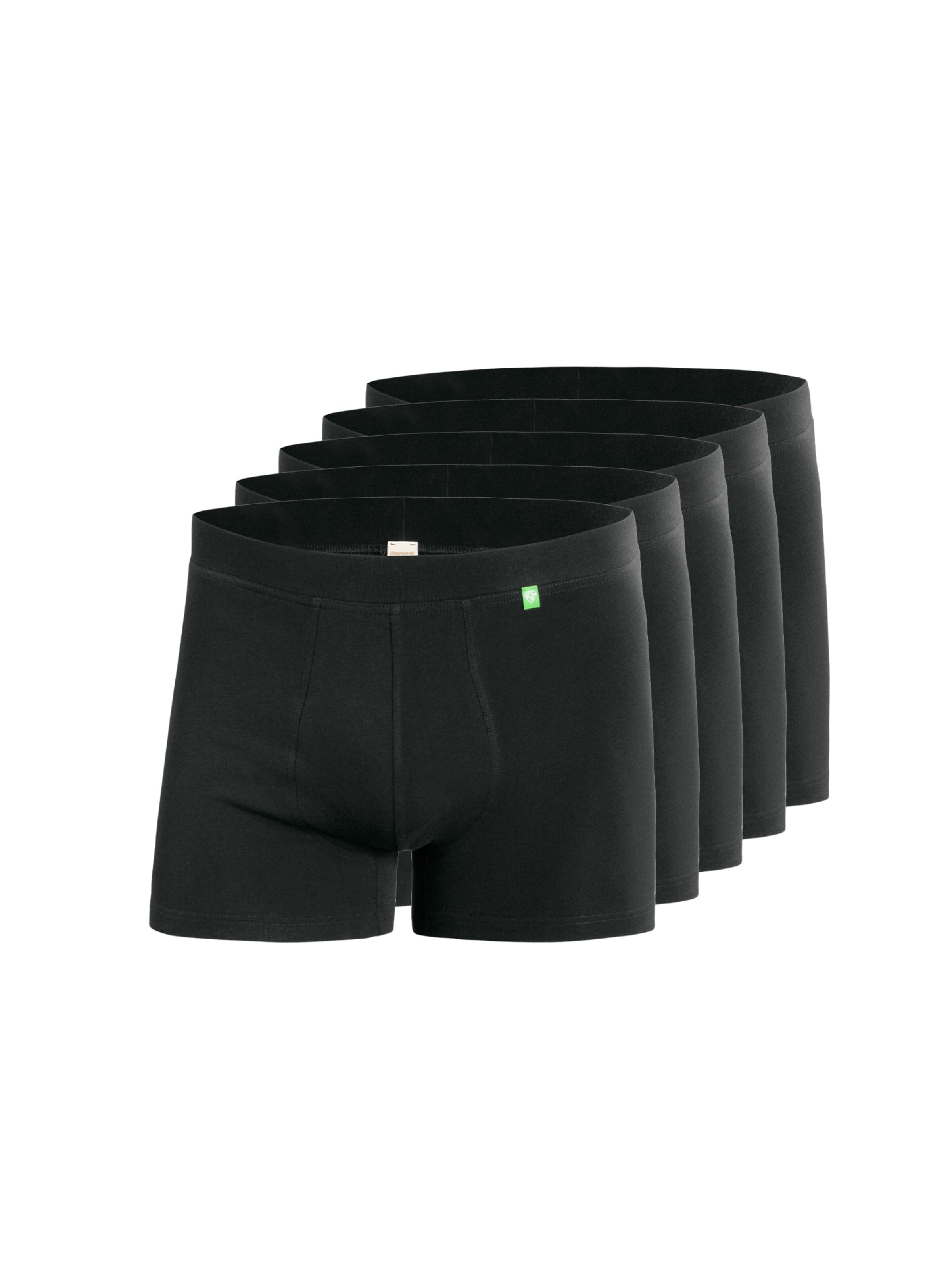 kleiderhelden Boxershorts 'Beatbux 5er'‌ in Schwarz: Vorderseite