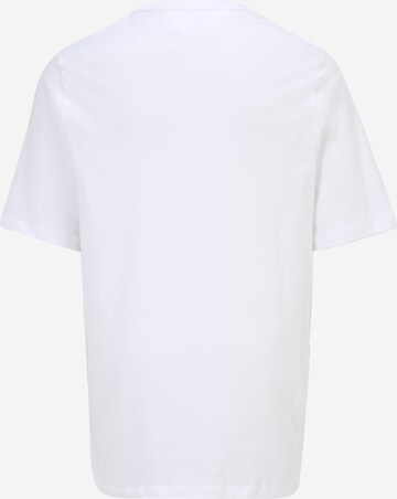 Tommy Hilfiger Big & Tall T-shirt i vit