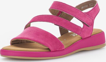 GABOR Strap Sandals in Pink: front