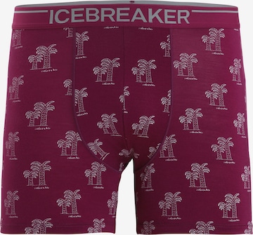 ICEBREAKER - Calzoncillo deportivo 'Anatomica' en lila: frente