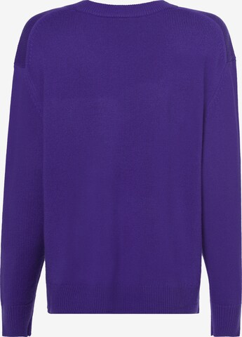 Ipuri Sweater ' ' in Purple