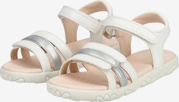 GEOX Sandalen in Wit