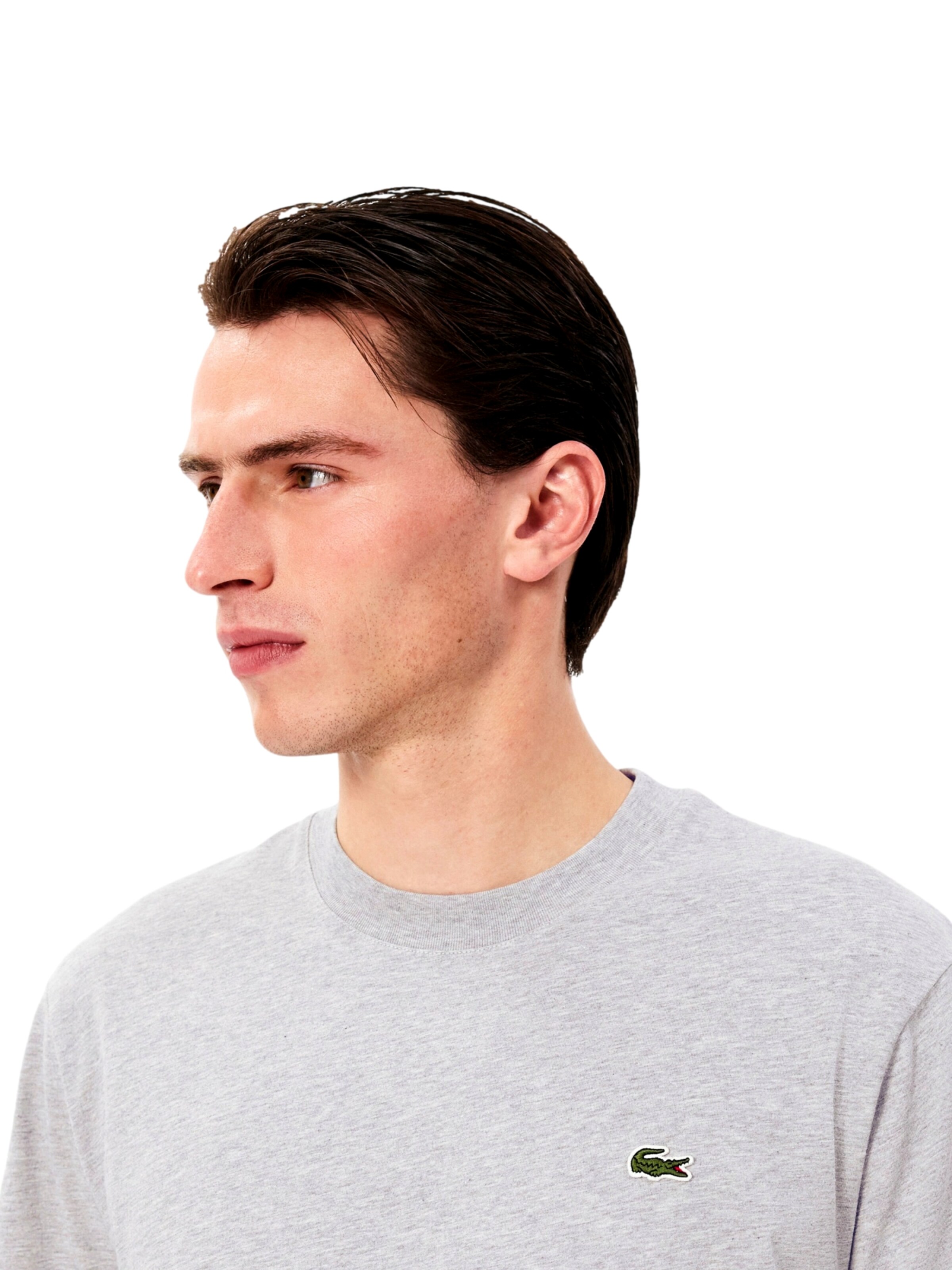 LACOSTE Shirt in Grey