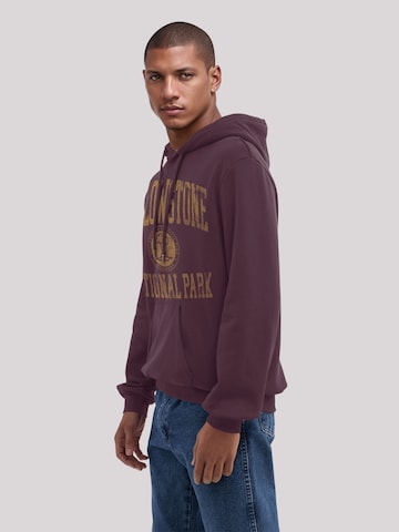 Sweat-shirt 'US National Parks Yellowstone Wyoming' F4NT4STIC en marron