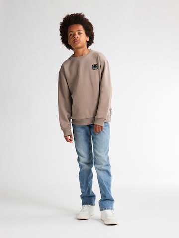 Petrol Industries Sweatshirt 'Adirondack' in Bruin