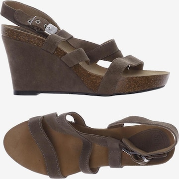 SCHOLL Sandals & High-Heeled Sandals in 40 in Brown: front