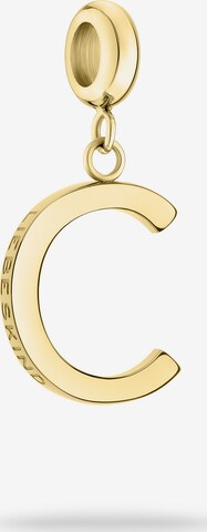 Liebeskind Berlin Pendant in Gold: front