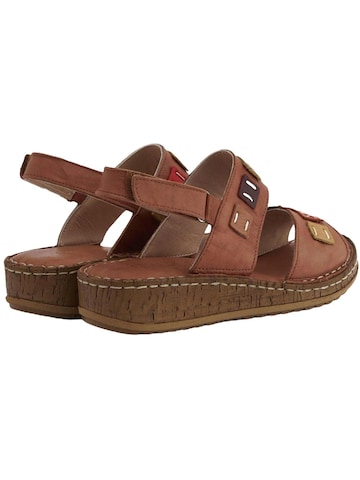 Limoya Sandals 'Damensandalen' in Brown