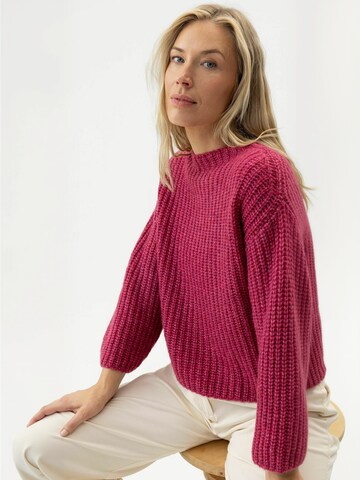 Holebrook Sweater ' Cajsa ' in Purple: front