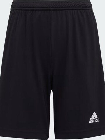Regular Pantalon de sport 'adidas Jr Ent22 Short Black' ADIDAS en noir