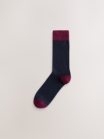 Next Socks in Blue