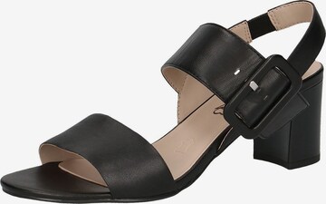 CAPRICE Strap Sandals in Black: front