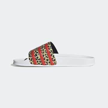 ADIDAS ORIGINALS Pantofle 'Adilette' – mix barev