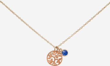 Gemshine Ketting in Goud