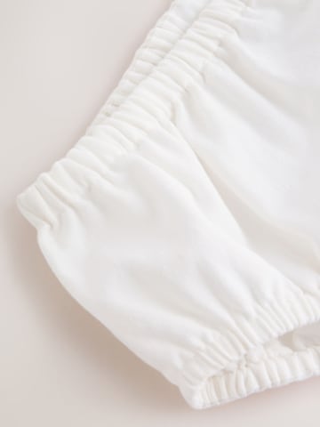 Next Mekko värissä monivärinen