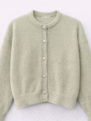 Cardigan 'Strickjacken' MixRay en vert : devant