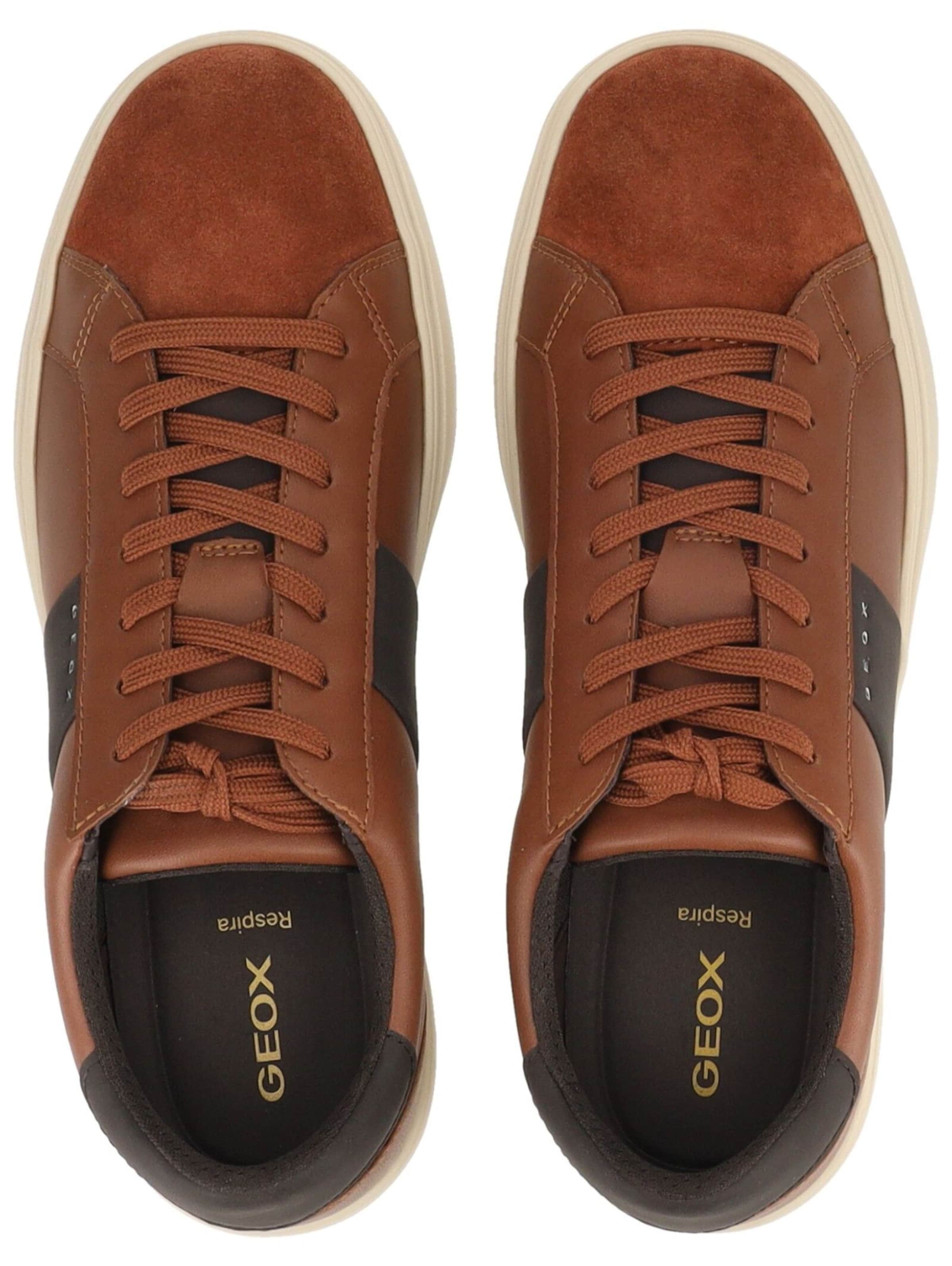 Baskets basses GEOX en marron