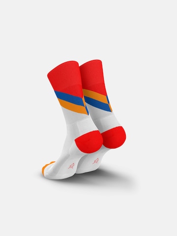 INCYLENCE Athletic Socks 'APEX' in White