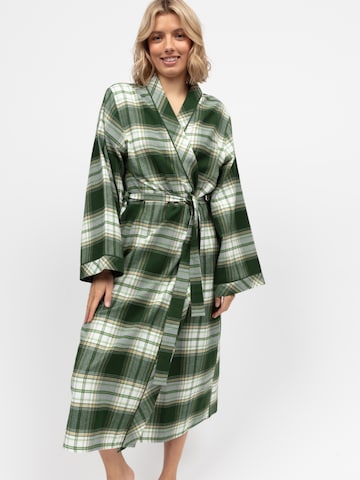Cyberjammies Dressing gown 'Fern' in Green: front