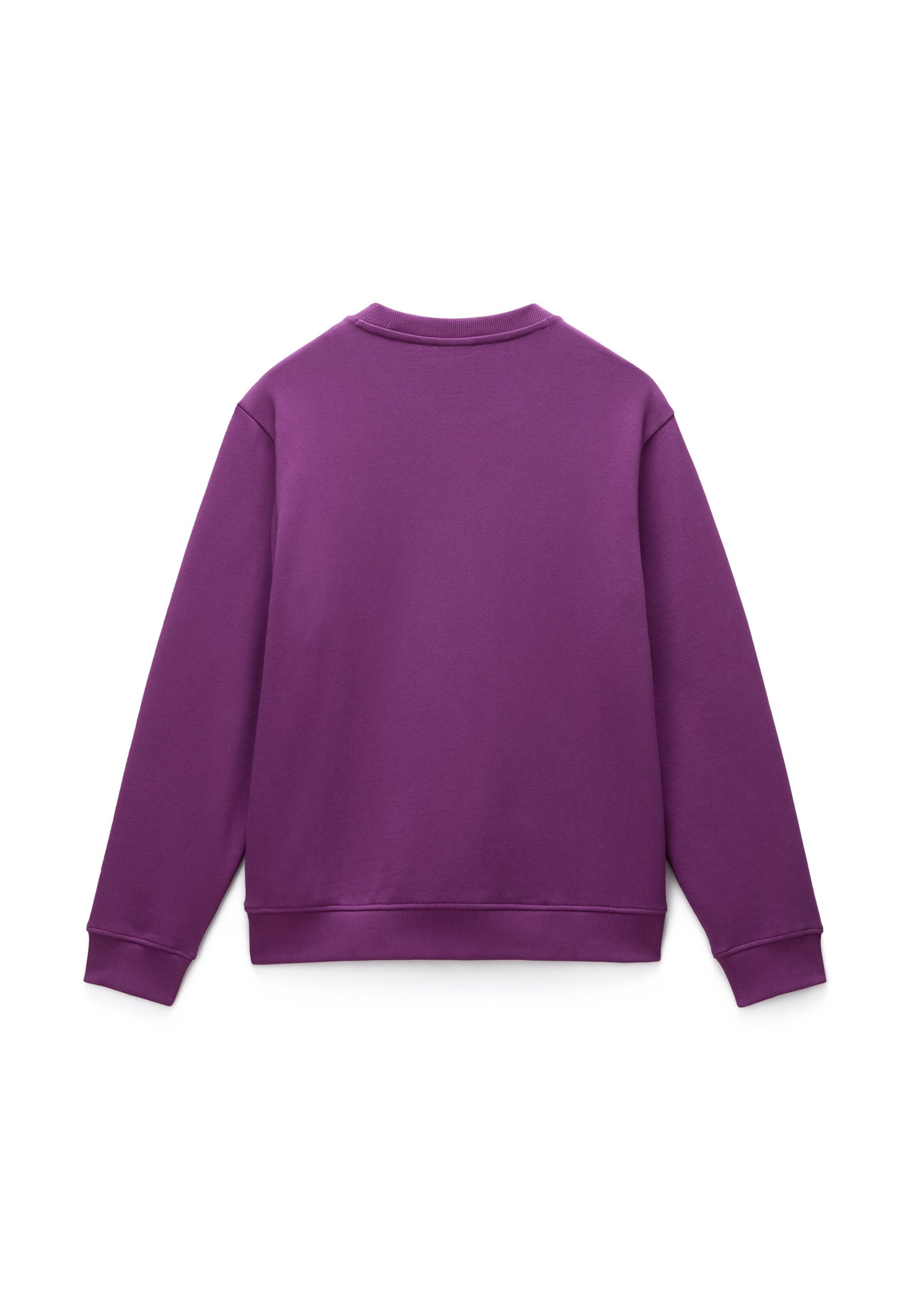 NAPAPIJRI Sweatshirt 'BALIS' i lilla: tilbage