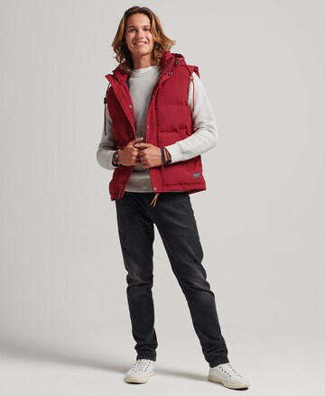 Superdry Weste 'Everest' in Rot