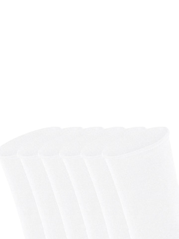 FALKE Socks 'Happy 6-Pack' in White