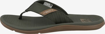 REEF Teenslipper 'Santa Ana' in Groen