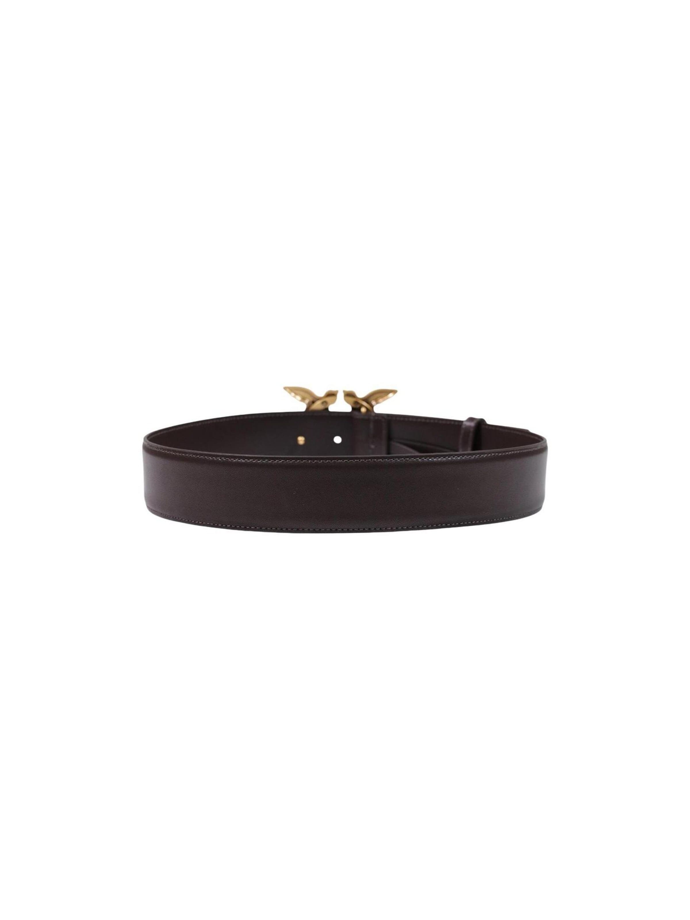 PINKO Riem 'ALTA LOVE BIRDS IN PELLE' in Bruin
