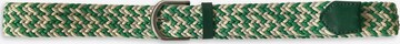 Leslii Belt in Green